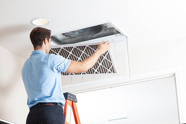 Best Air Filters and Purifiers in Dillingham, AK